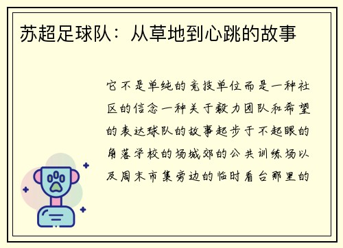 苏超足球队：从草地到心跳的故事