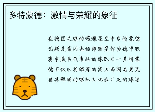 多特蒙德：激情与荣耀的象征